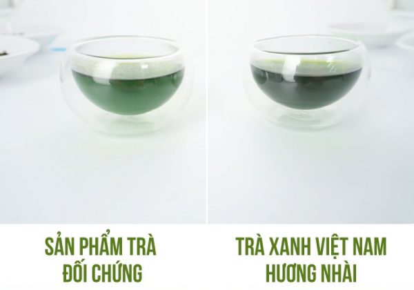 Trà xanh Việt Nam hương nhài và trà thái xanh: Nên chọn loại nào?